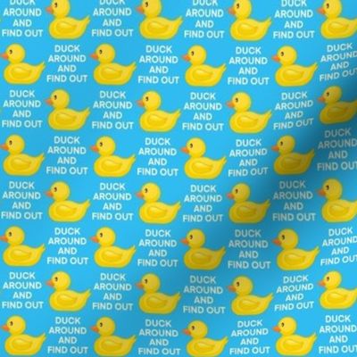 Xsmall - Duck Around - Blue