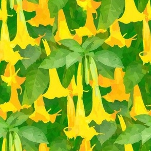 Devils Trumpets Medium