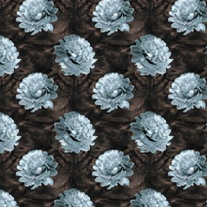 Antique Blue Chrysanthemums on a Chocolate Background