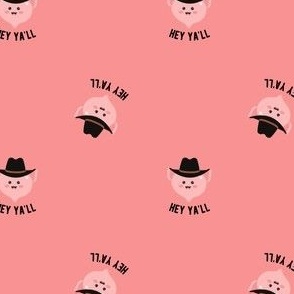 Hey Ya'll Uterus Cowgirl Hat Funny Country Southern OBGYN