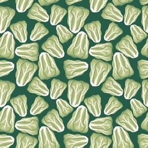 Farmers_Market_Cabbage_On_Green