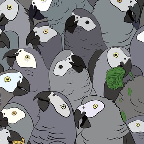 Updated! African Grey Parrot Pattern (Large)