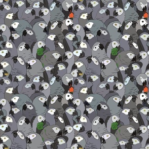 Updated! African Grey Parrot Pattern (Medium)