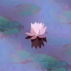 Pond Lily Skies