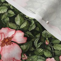 Botanical seamless pattern, watercolor hand painted wild roses. Wallpaper, textile, wrapping paper or scrapbooking use. 