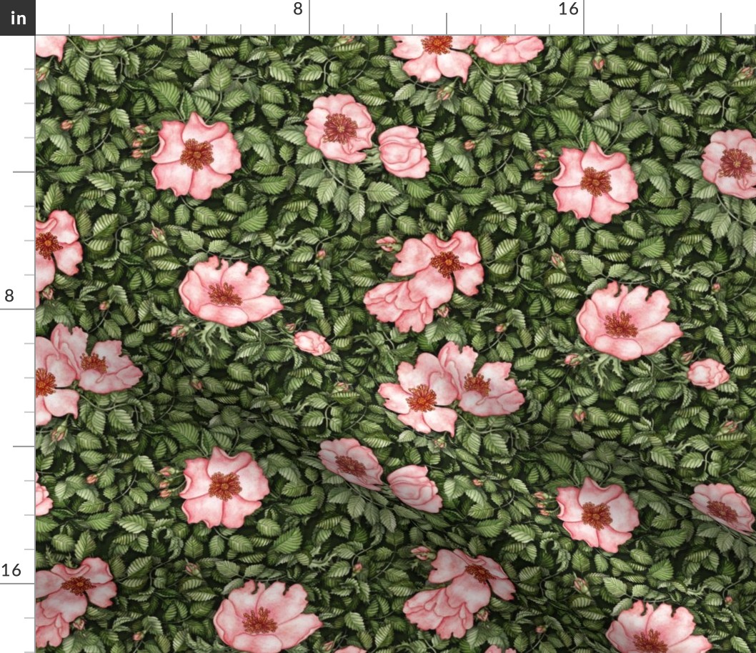 Botanical seamless pattern, watercolor hand painted wild roses. Wallpaper, textile, wrapping paper or scrapbooking use. 