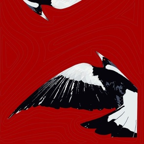  Magpie Flying on Red - large