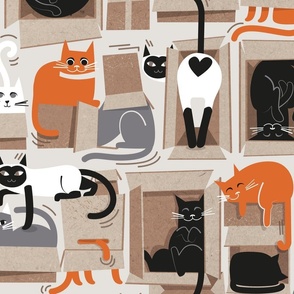 Large jumbo scale // Purfect feline architecture // beige background cute cats in cardboard boxes 