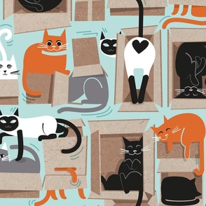 Large jumbo scale // Purfect feline architecture // aqua background cute cats in cardboard boxes 