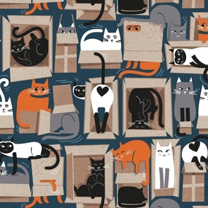 Normal scale // Purfect feline architecture // nile blue background cute cats in cardboard boxes 