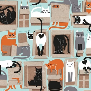 Normal scale // Purfect feline architecture // aqua background cute cats in cardboard boxes 