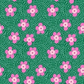 geraldine (geraldton wax flower) - small green pink