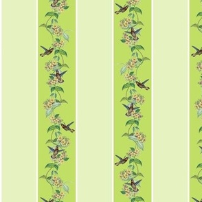 HUMMER STRIPE SMALL - VIVID VINE COLLECTION (GREEN)