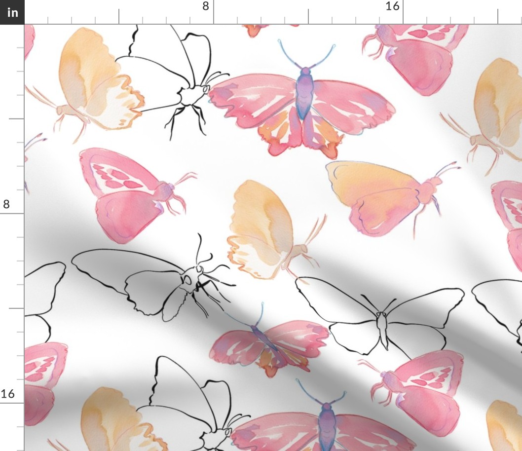 Butterflies 02 02