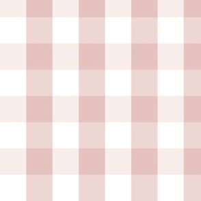 Gingham check in dusty pink | dusty rose buffalo plaid |renee Davis 