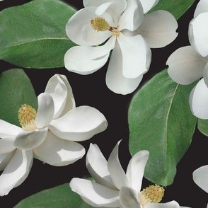 Magnolia on Black Large
