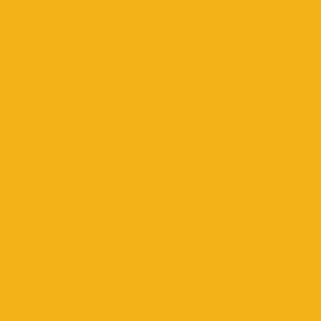 Plain solid golden yellow, hex f3b218