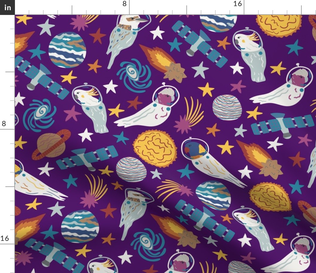 Large Purple Australian Birds Exploring Space