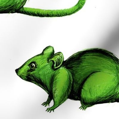 Zombie Rat!