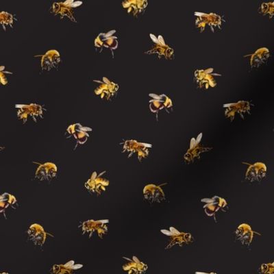 Honey Bees - Small - Black