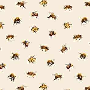 Honey Bees - Small - Cream