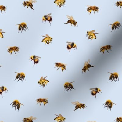 Honey Bees - Small - French Blue