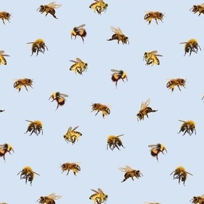 Honey Bees - Small - French Blue