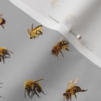Honey Bees - Small - Gray