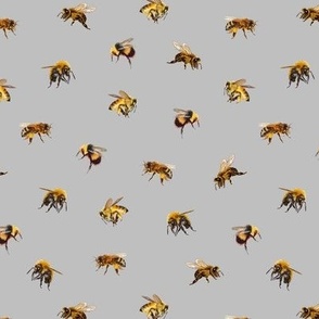 Honey Bees - Small - Gray