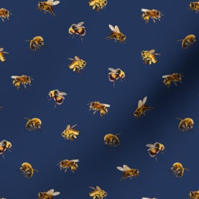 Honey Bees - Small - Navy