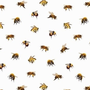 Honey Bees - Small - White