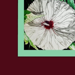 White Hibiscus on black with Lime Green and Burgundy