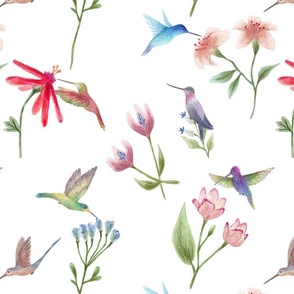 Watercolor Hummingbird Floral 