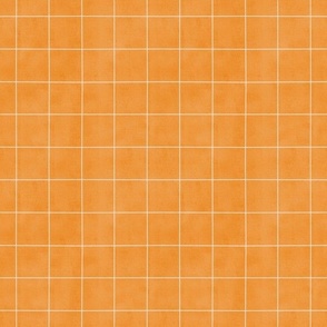 Grid lines in Orange || Cream Check on Orange || Pumpkin Patch Collection by Sarah Price