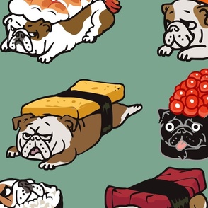 Sushi English Bulldog_4x4
