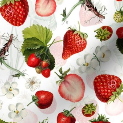 18" Antique Watercolor Strawberry Flower Meadow- Vintage Strawberries on white Fabric Double layer