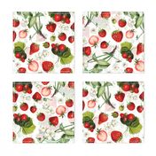 18" Antique Watercolor Strawberry Flower Meadow- Vintage Strawberries on white Fabric Double layer