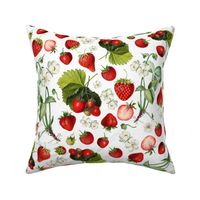 18" Antique Watercolor Strawberry Flower Meadow- Vintage Strawberries on nostalgic white Fabric