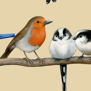 British Garden Birds on oat - jumbo scale