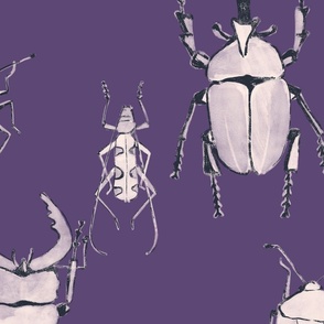 Beetle_Violet_Line (big scale)