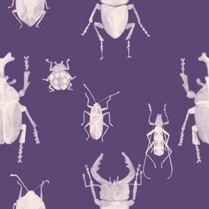 Beetle_Violet (small scale)