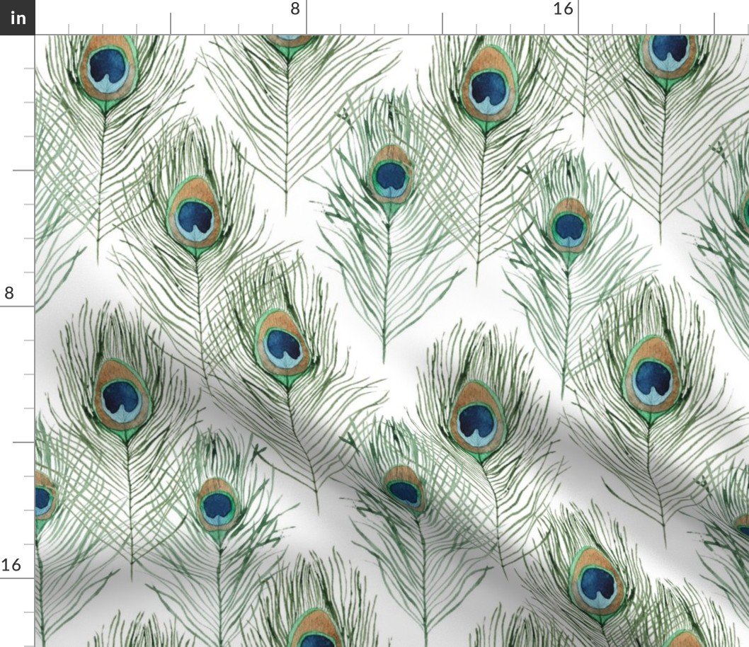 Watercolor Peacock Feather Pattern On White