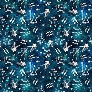 Small Scale Aquarius Zodiac Water Signs Symbols and Constellations on Teal Galaxy