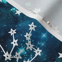 Large Scale Aquarius Constellations and Stars on Teal Galaxy