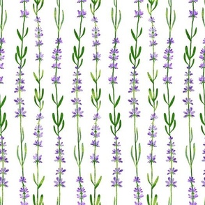 Romantic lavender watercolor. Lilac herb plants. Cottagecore flowers.
