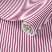Cabana stripe - extra small - Rose Violet and creamy white purple candy stripe