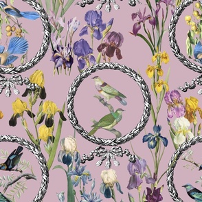 Irises and Birds and Frames (pale pink background)