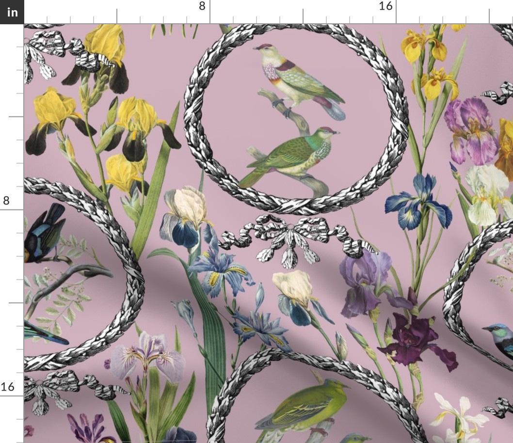 Irises and Birds and Frames (pale pink background)
