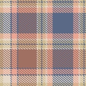 Brown Blue and Tan Apothecary Box Plaid