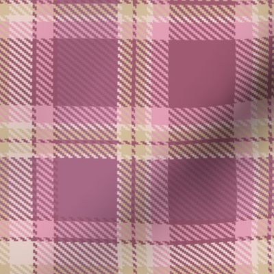 Pink and Beige Apothecary Box Plaid